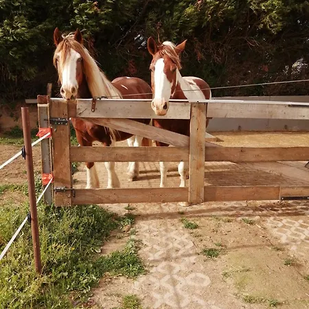 Le De La Hutt' Aux Animaux Huttendorf